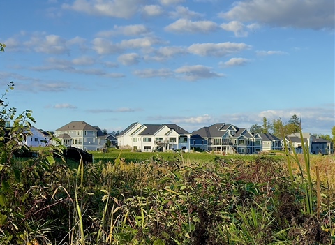 Arboretum Village